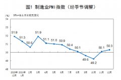 12月制造业PMI为50.3%，比上月上升0.2个百分点