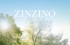 牵手“有赞”!圣希诺Zinzino进军中国市场首月销售额近百万